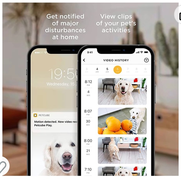 Pet cube pet interactive camera - Picture 4 of 6